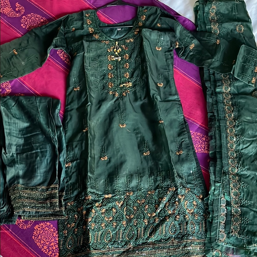 Elegant Green organza Embroidered Suit Set